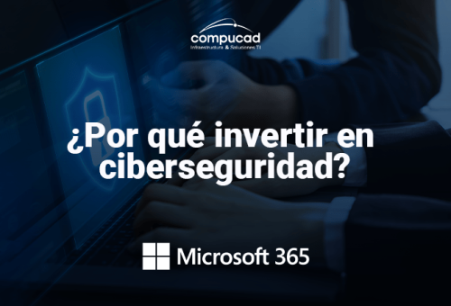 Ciber seguridad