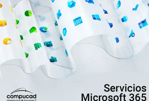 Servicios-MS-2-1.png
